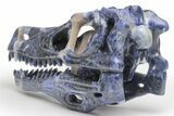 Carved Sodalite Dinosaur Skull - Roar! #218506-5